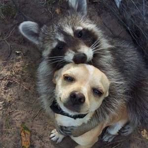 Meet your Posher, Davina